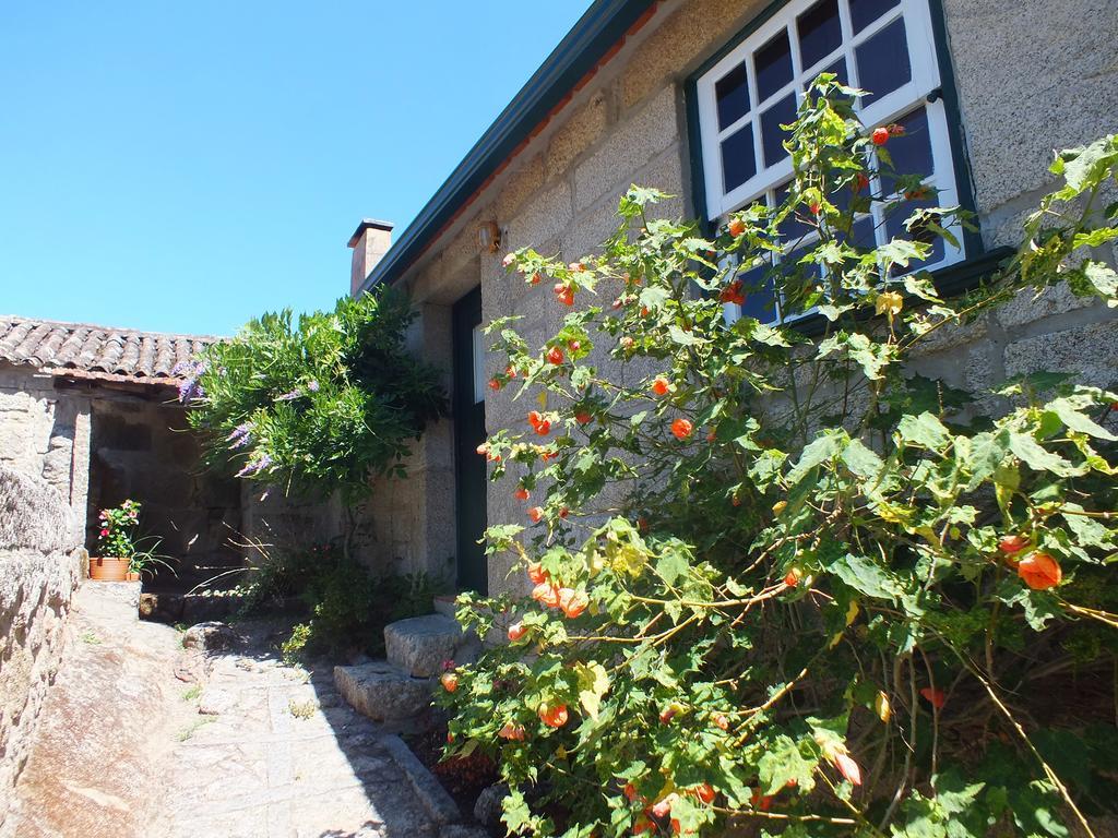 Вилла Quinta Do Caritel Возела Номер фото