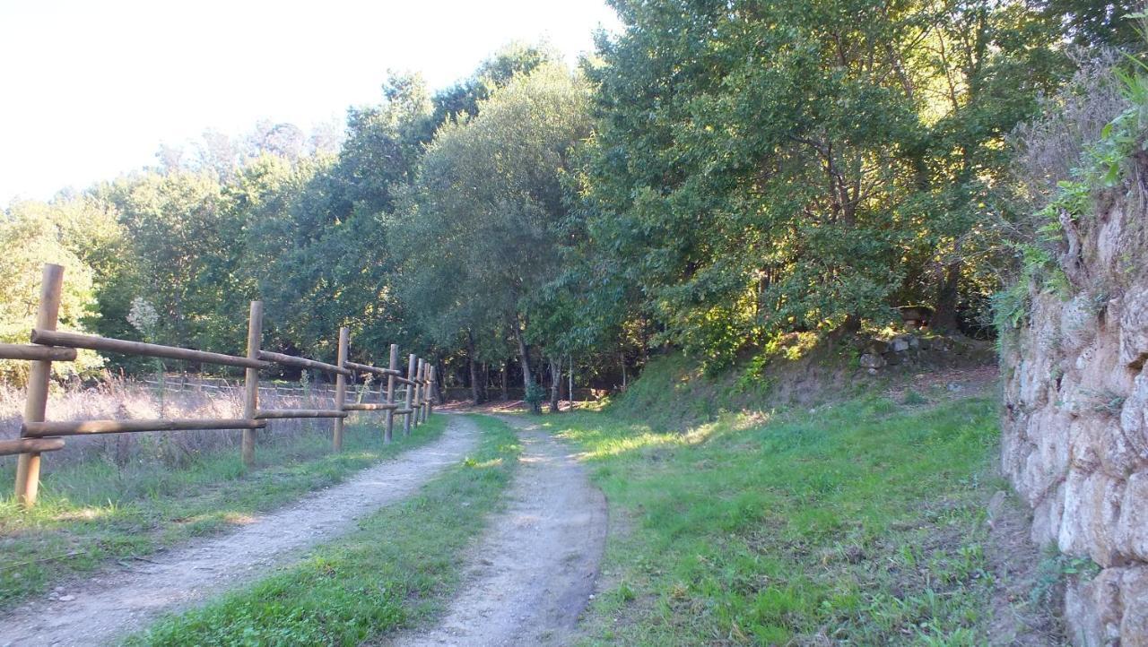 Вилла Quinta Do Caritel Возела Экстерьер фото