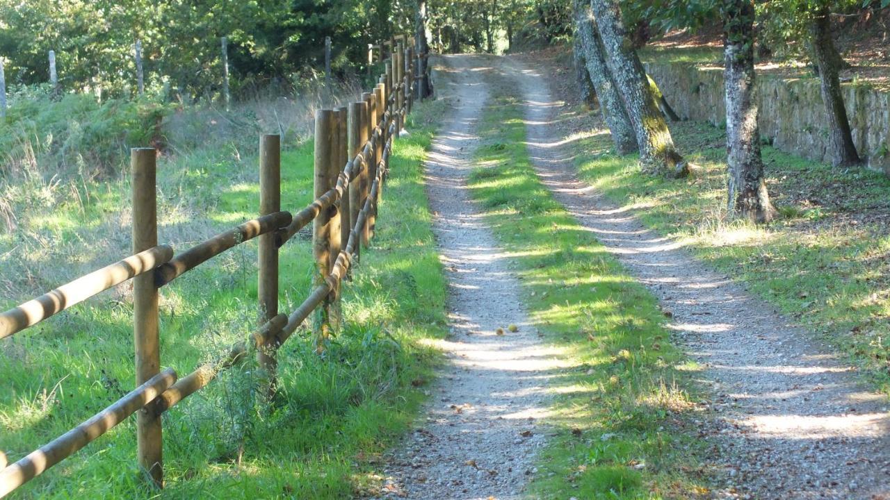 Вилла Quinta Do Caritel Возела Экстерьер фото