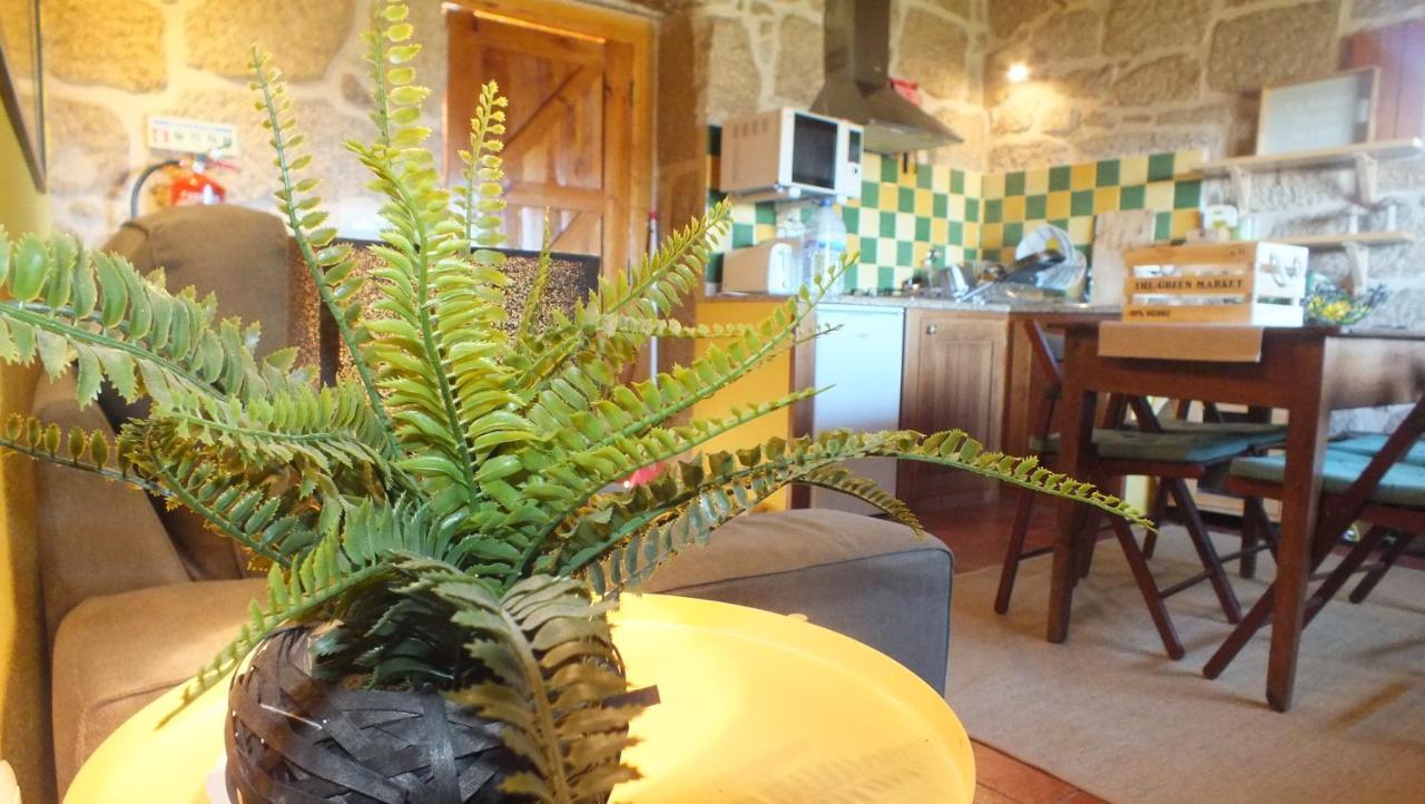 Вилла Quinta Do Caritel Возела Экстерьер фото